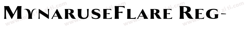 MynaruseFlare Reg字体转换